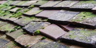 Old Warden roof repair costs